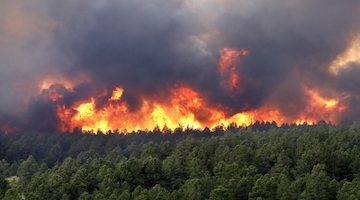 Zavist uništava dobra djela
