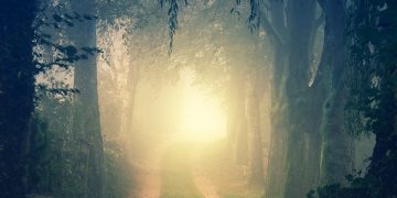 Vjerovanje u gajb i osnove imana