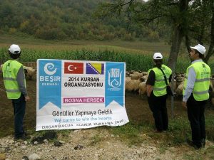 kurbani 6