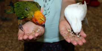 Edeb – važnost edeba i mjera u edebu