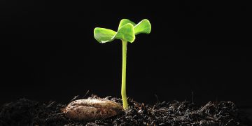 Vjerovanje u Sudnji dan