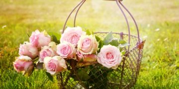 Fitna u Ahiri zemanu i putevi čuvanja