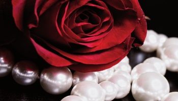 Fitna u Ahiri zemanu i putevi čuvanja